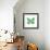 Birdsong Garden Butterfly II on White-Shirley Novak-Framed Art Print displayed on a wall