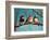 Birdz In Da Hood-Lucia Heffernan-Framed Art Print