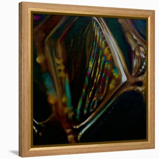 Birifringence, 2008-Lee Campbell-Framed Premier Image Canvas