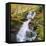 Birks of Aberfeldy, Tayside, Scotland, UK, Europe-Roy Rainford-Framed Premier Image Canvas