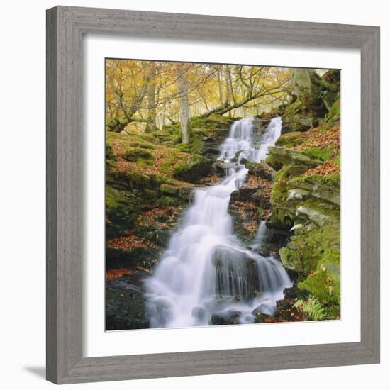 Birks of Aberfeldy, Tayside, Scotland, UK, Europe-Roy Rainford-Framed Photographic Print