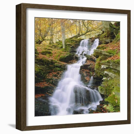 Birks of Aberfeldy, Tayside, Scotland, UK, Europe-Roy Rainford-Framed Photographic Print