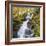 Birks of Aberfeldy, Tayside, Scotland, UK, Europe-Roy Rainford-Framed Photographic Print