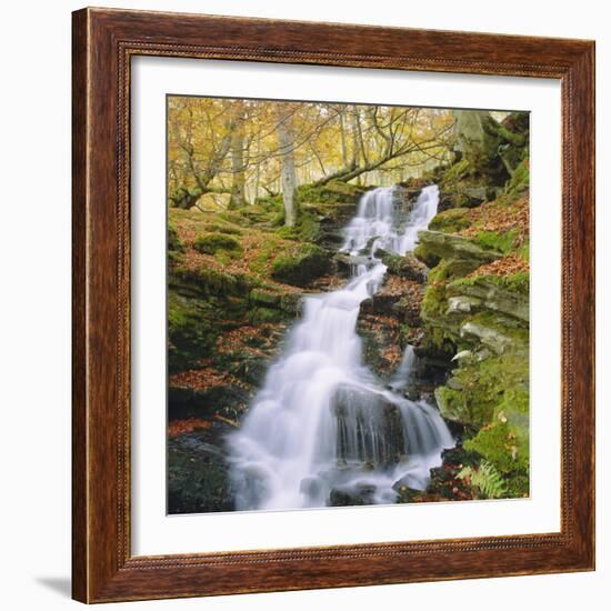 Birks of Aberfeldy, Tayside, Scotland, UK, Europe-Roy Rainford-Framed Photographic Print