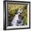 Birks of Aberfeldy, Tayside, Scotland, UK, Europe-Roy Rainford-Framed Photographic Print