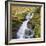 Birks of Aberfeldy, Tayside, Scotland, UK, Europe-Roy Rainford-Framed Photographic Print