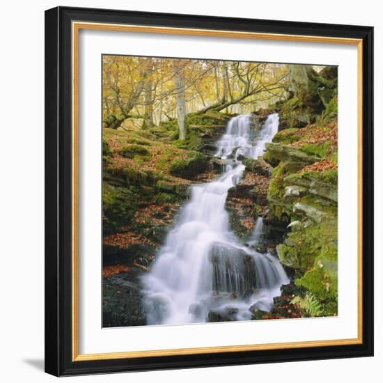 Birks of Aberfeldy, Tayside, Scotland, UK, Europe-Roy Rainford-Framed Photographic Print