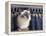 Birman Cat Amongst Tassles under Furniture-Adriano Bacchella-Framed Premier Image Canvas