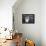 Birman Cat Amongst Tassles under Furniture-Adriano Bacchella-Framed Premier Image Canvas displayed on a wall