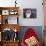 Birman Cat Amongst Tassles under Furniture-Adriano Bacchella-Photographic Print displayed on a wall