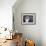 Birman Cat Amongst Tassles under Furniture-Adriano Bacchella-Framed Photographic Print displayed on a wall