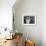 Birman Cat Amongst Tassles under Furniture-Adriano Bacchella-Framed Photographic Print displayed on a wall