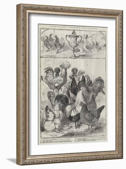 Birmingham Poultry Show-Harrison William Weir-Framed Giclee Print