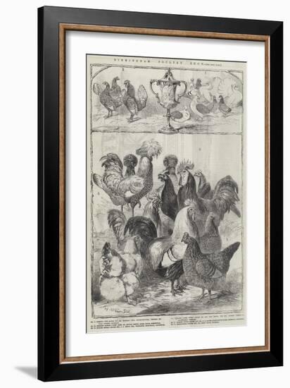 Birmingham Poultry Show-Harrison William Weir-Framed Giclee Print