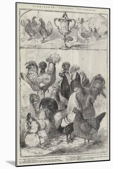 Birmingham Poultry Show-Harrison William Weir-Mounted Giclee Print