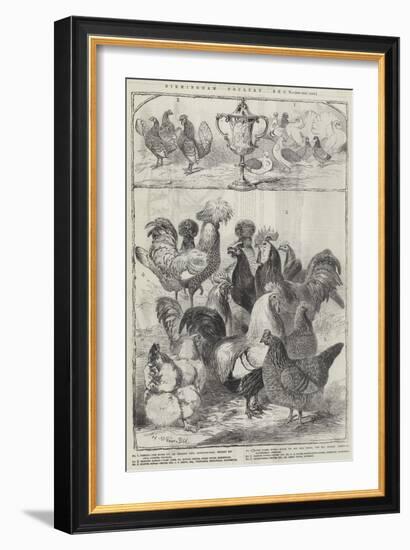 Birmingham Poultry Show-Harrison William Weir-Framed Giclee Print