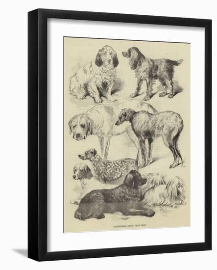 Birmingham Show, Prize Dogs-Harrison William Weir-Framed Giclee Print