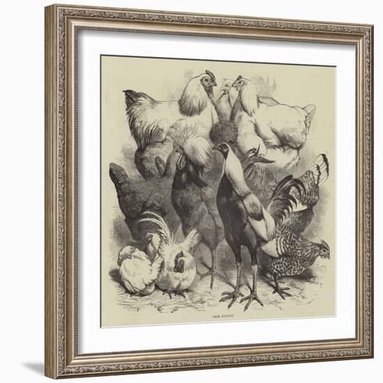 Birmingham Show, Prize Poultry-Harrison William Weir-Framed Giclee Print