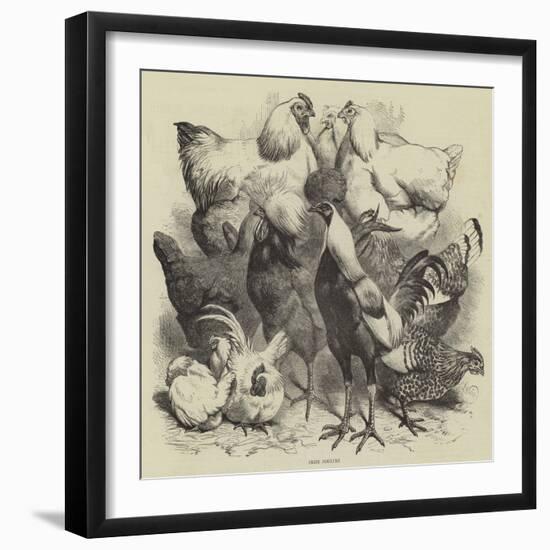 Birmingham Show, Prize Poultry-Harrison William Weir-Framed Giclee Print