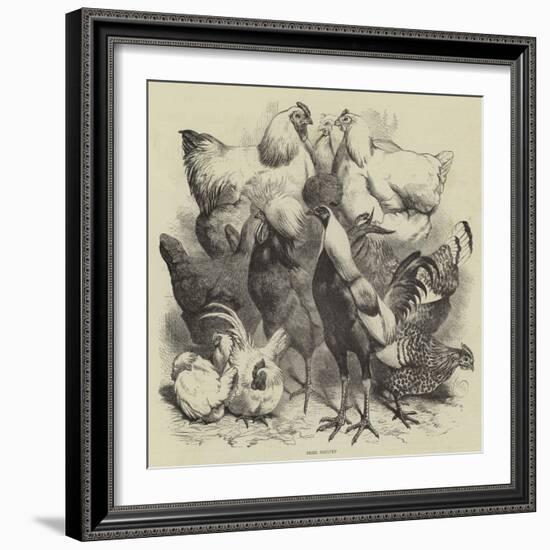 Birmingham Show, Prize Poultry-Harrison William Weir-Framed Giclee Print