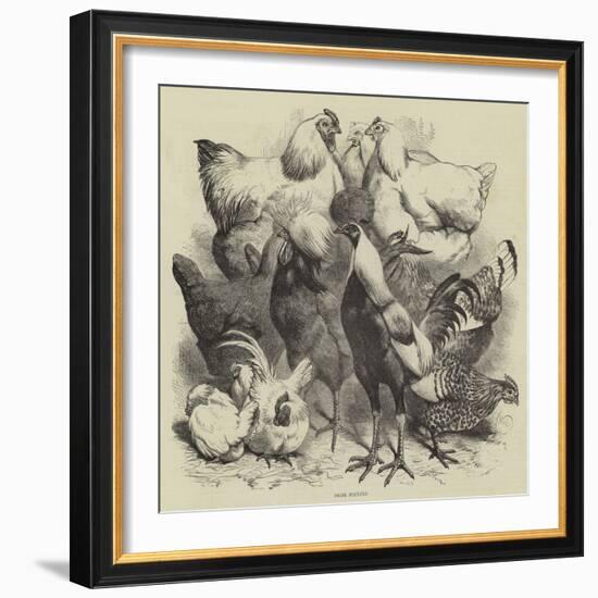 Birmingham Show, Prize Poultry-Harrison William Weir-Framed Giclee Print