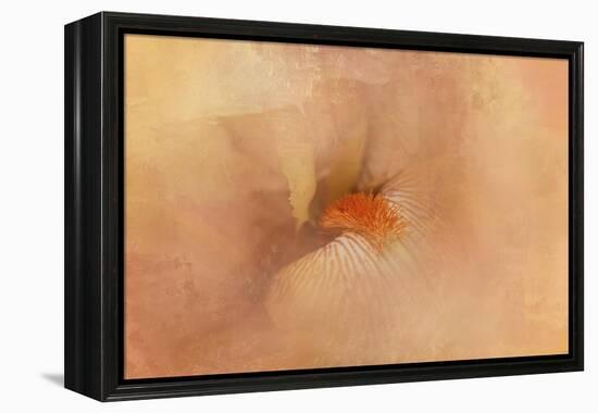 Birth of the Peach Iris-Jai Johnson-Framed Premier Image Canvas