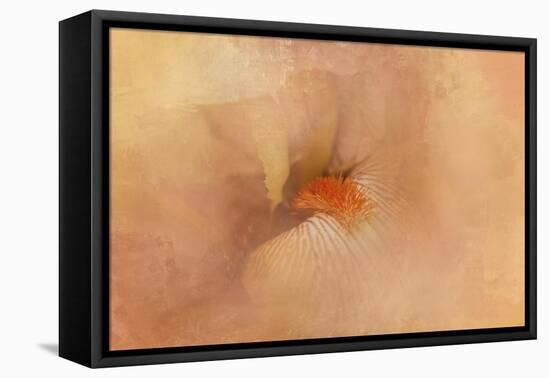 Birth of the Peach Iris-Jai Johnson-Framed Premier Image Canvas