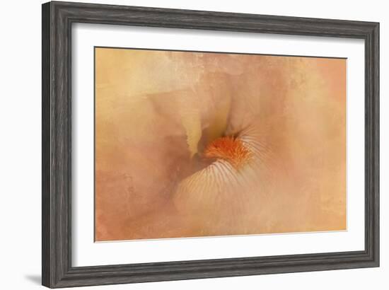 Birth of the Peach Iris-Jai Johnson-Framed Giclee Print