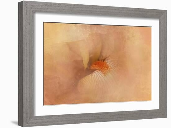 Birth of the Peach Iris-Jai Johnson-Framed Giclee Print