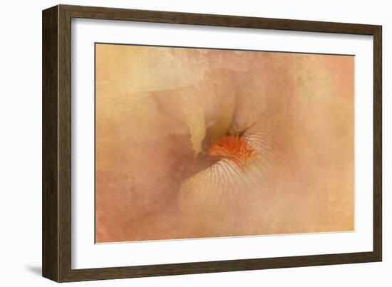 Birth of the Peach Iris-Jai Johnson-Framed Giclee Print