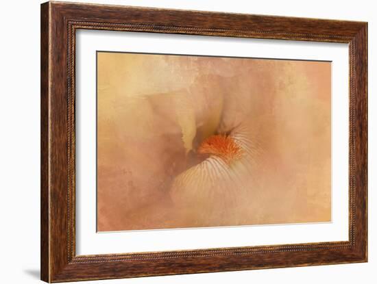 Birth of the Peach Iris-Jai Johnson-Framed Giclee Print