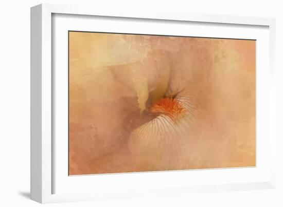 Birth of the Peach Iris-Jai Johnson-Framed Giclee Print