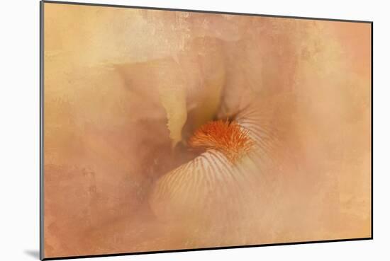 Birth of the Peach Iris-Jai Johnson-Mounted Giclee Print