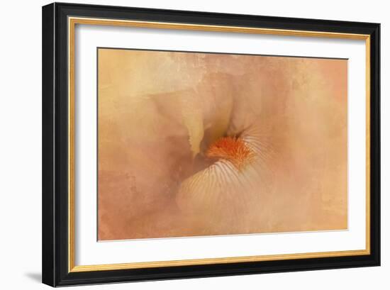 Birth of the Peach Iris-Jai Johnson-Framed Giclee Print