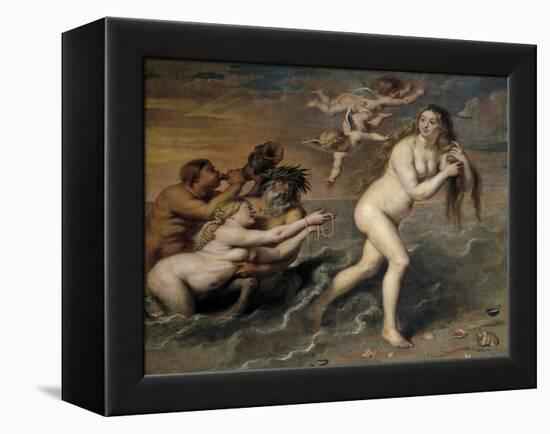 Birth of Venus, 17th century-Cornelis de Vos-Framed Premier Image Canvas