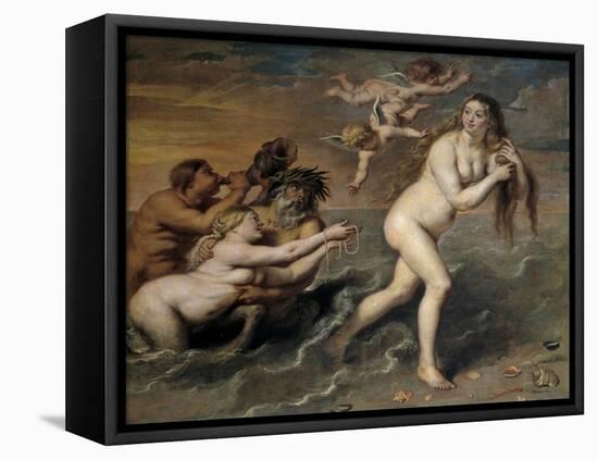 Birth of Venus, 17th century-Cornelis de Vos-Framed Premier Image Canvas