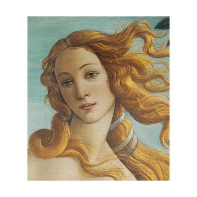 Venus Arte Venus Arte