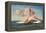 Birth of Venus-Thomas Couture-Framed Stretched Canvas