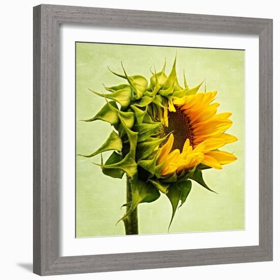 Birth-Philippe Sainte-Laudy-Framed Premium Photographic Print