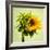 Birth-Philippe Sainte-Laudy-Framed Premium Photographic Print