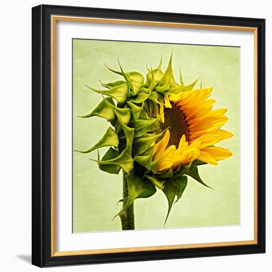 Birth-Philippe Sainte-Laudy-Framed Premium Photographic Print