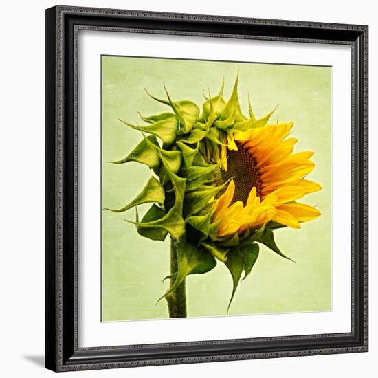 Birth-Philippe Sainte-Laudy-Framed Photographic Print