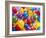 Birthday Balloons-Richard Hutchings-Framed Premium Photographic Print