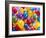 Birthday Balloons-Richard Hutchings-Framed Premium Photographic Print