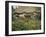 Birthplace of Thomas Hardy, 19th Century-CM Dixon-Framed Photographic Print