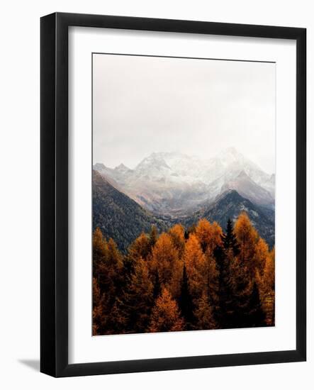 Bishop 17-Design Fabrikken-Framed Photographic Print