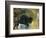 Bison 1-Sokol-Hohne-Framed Premium Giclee Print