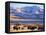 Bison above Great Salt Lake, Antelope Island State Park, Utah, USA-Scott T. Smith-Framed Premier Image Canvas