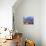 Bison above Great Salt Lake, Antelope Island State Park, Utah, USA-Scott T. Smith-Photographic Print displayed on a wall