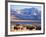 Bison above Great Salt Lake, Antelope Island State Park, Utah, USA-Scott T. Smith-Framed Photographic Print